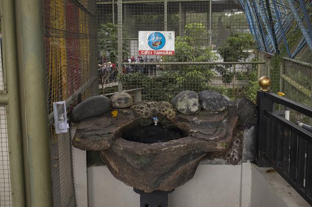 Fasilitas untuk mencuci tangan disediakan di dalam kebun binatang