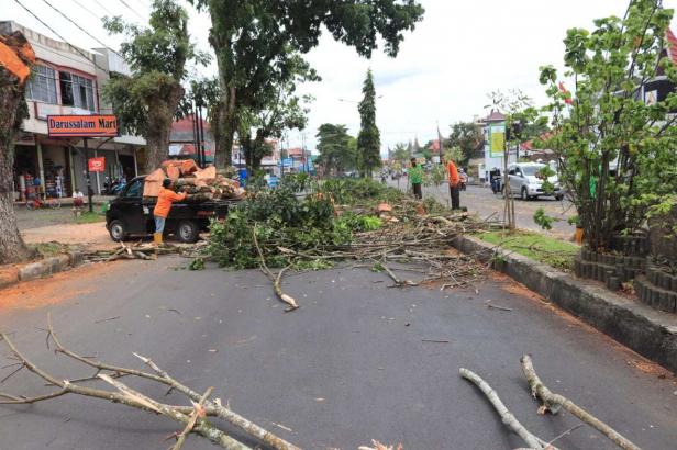 Pemangkasan pohon yang dilaksanakan DLH Kota Payakumbuh.