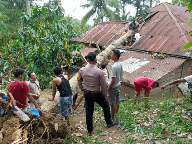 Rumah warga rusak tertimpa pohon di Lima Puluh Kota.