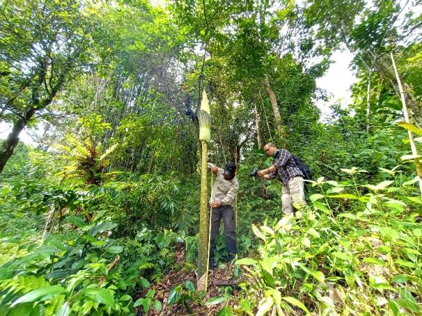 Seperti Bunga Di Padang Yang Yang Hari Ini Ada Serta Besok Lenyap