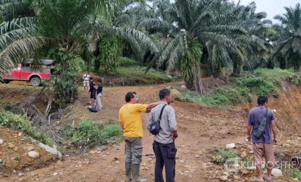 BKSDA Sumatera Barat melalui Resor Agam melakukan pemantauan dilokasi penampakan harimau sumatera