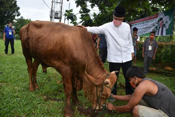 Bupati Agam saat melakukan penyembelihan hewan kurban di Masjid Agung Nurul Fallah Lubuk Basung