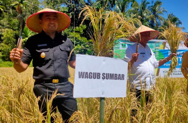 Wagub Sumbar Audy Joinaldy