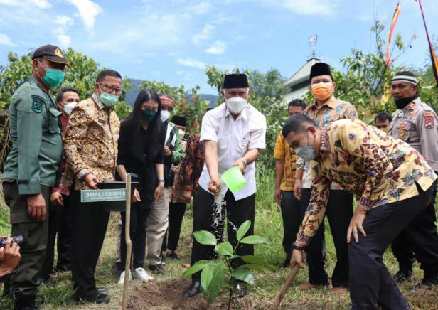 Gubernur Sumbar Mahyeldi Ansharullah saat menanam pohon di Sijunjung