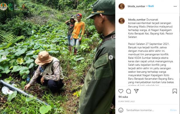 Postingan BKSDA Sumbar terkait penyerangan Beruang Madu di Pessel