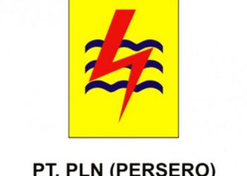 Logo PLN.