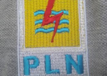 Logo PLN