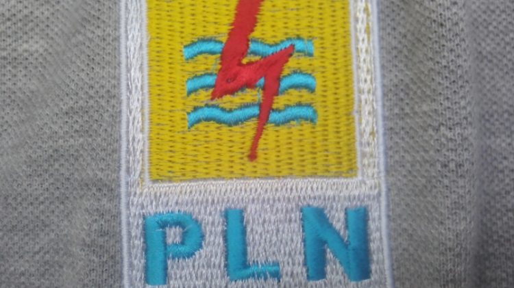 Logo PLN