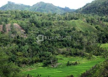 Salah satu pesona di Kabupaten Limapuluh Kota. Pemprov Sumbar menetapkan Kabupaten Limapuluh Kota sebagai salah satu tujuan transmigrasi di Sumbar