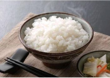 Nasi yang dimasak dengan beras shirataki