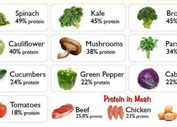 Daftar sumber protein.
