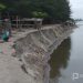 Abrasi pantai di Jorong Pondok, Nagari Sasak, Kecamatan Sasak Ranah Pasisie