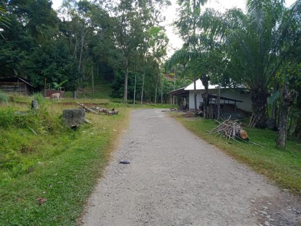 Kondisi jalan Kampung Lubuk Batu Sutera