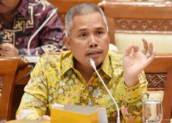 Anggota Komisi XI DPR RI Achmad Hafisz Tohir