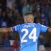 Insigne