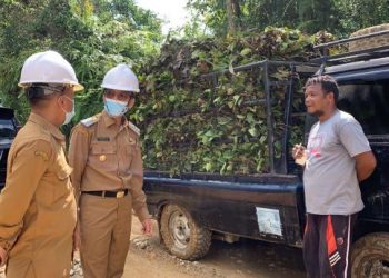 Bupati Lima Puluh Kota, Safaruddin Dt Bandaro Raio berdialog dengan petani gambir.