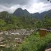 Hutan di Lumpo Pesisir Selatan