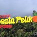 Wisata Petik Jeruk Batu Palano