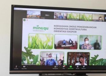 Kembangkan Pemasaran Tanaman Hias, Padang Panjang Tanda Tangani MoU dengan Minaqu