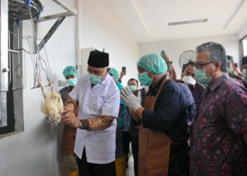 Gubernur Sumbar saat menyembelih ayam di RPU Air Pacah, Kota Padang