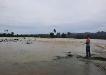 Batang Sungai Tapan Pessel