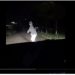 Video Pocong mencegat mobil yang melintas sambil goyang TikTok. -