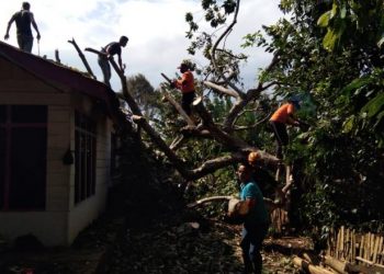 Pembersihan material oleh BPBD Bukittinggi