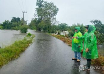 Camat Sasak Ranah Pasisie bersama Kapolsek Pasaman meninjau langsung jalan menuju Jorong Rantau Panjang yang sudah digenangi air