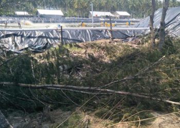 Kondisi tambak udang di Sungai Tunu Barat Pessel