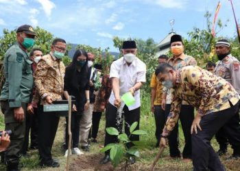 Gubernur Sumbar Mahyeldi Ansharullah saat menanam pohon di Sijunjung