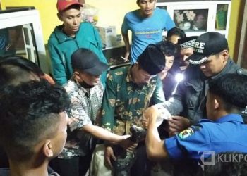 Petugas mengamankan seekor ular Piton sepanjang 4 meter dari dalam rumah warga di Koto Kaciak, Muaro Paneh