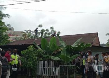 Saat Penertiban dan Pembongkaran