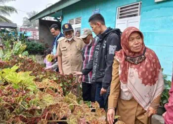 Dinas Pertanian dan pihak terkait melakukan peninjauan usaha tanaman hias masyarakat di Kota Solok.(Ist)