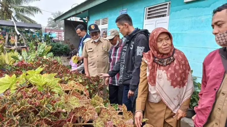 Dinas Pertanian dan pihak terkait melakukan peninjauan usaha tanaman hias masyarakat di Kota Solok.(Ist)