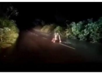 Cuplikan video pengendara mobil dicegat makhluk mengerikan di jalan.