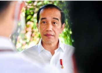 Presiden Joko Widodo (Jokowi)