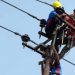 Petugas PLN