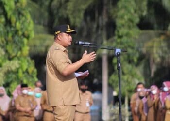 Pegawai Non ASN Bakal dapat Perlindungan Jaminan Sosial