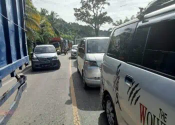 Pohon tumbang buat akses jalan di Batangkapas tersendat