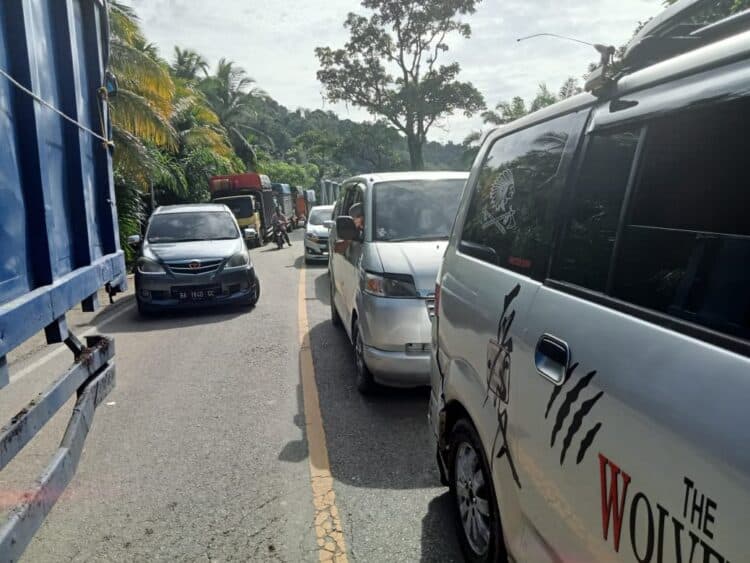 Pohon tumbang buat akses jalan di Batangkapas tersendat