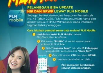 Perbaharui Data NIK dan NPWP Pelanggan Kini Bisa Lewat PLN Mobile, Ini Caranya!