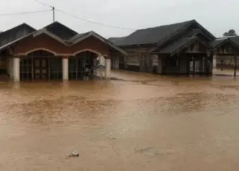 Banjir yang merendam rumah warga di Desa Batilai, Kecamatan Takisung, Kabupaten Tanah Laut, Provinsi Kalimantan Selatan, Selasa (8/3). (BNPB Kabupaten Tanah Laut)