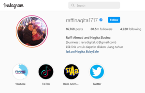 Followers Artis Indonesia Terbanyak