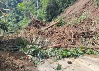 longsor di Polong Anam Nagari Talu sekitar pukul 10.20 WIB, Sabtu (5/3).