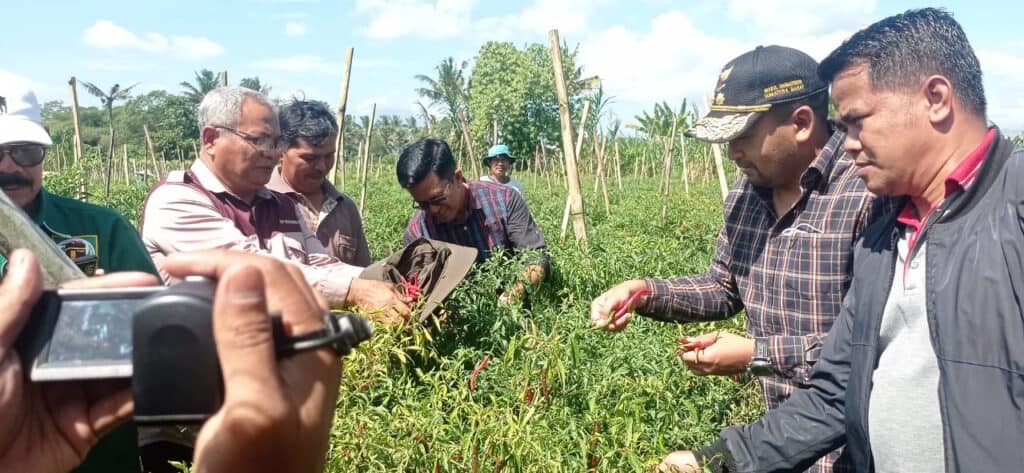 Wagub Syumbar mengunjungi sejumlah lahan pertanian warga di Kota Payakumbuh bersama Wakil Wali Kota Payakumbuh, Erwin Yunaz