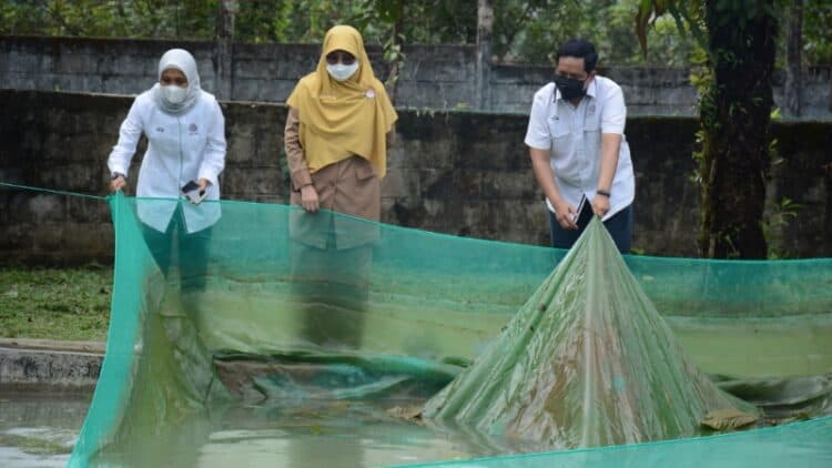 Kepala DKP Provinsi Sumbar Desniarti (tengah) didampingi Kepala Unit Humas & Kesekretariatan PT Semen Padang Nur Anita Rahmawati (kiri) dan staf CSR Jimi (kanan) saat berkunjung ke area konservasi bilih PT Semen Padang, Senin (14/3/2022)