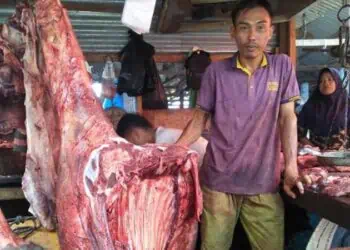 Ilustrasi penjual daging