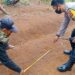 Petugas bersama warga melihat jejak hewan buas yang diduga Harimau Sumatra di kawasan Transad Kota Solok.(Ist)