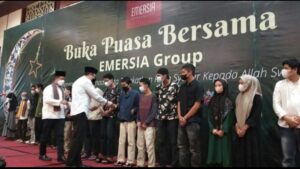 emersia grup