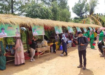 Pengembangan UMKM pada Event Aua Sarumpun Geopark Festival di Nagari III Koto, Kecamatan Rambatan